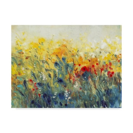 Tim Otoole 'Flowers Sway I' Canvas Art,24x32